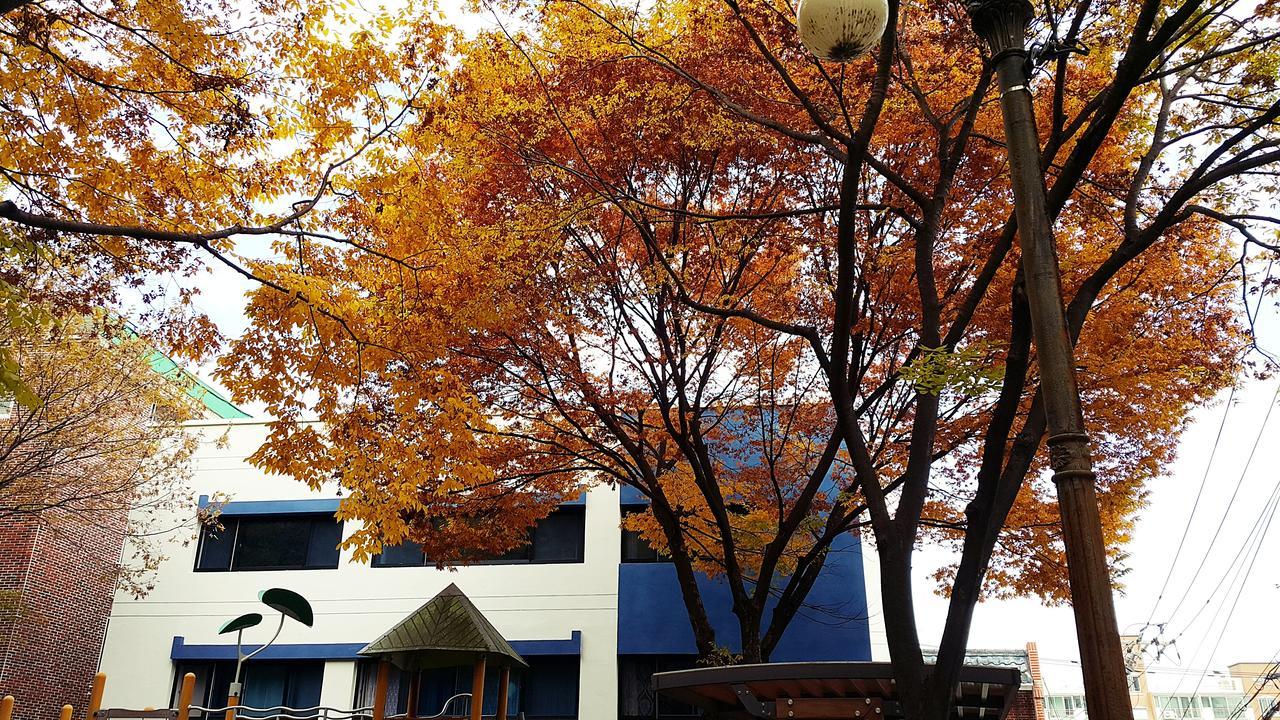 Lia House Hostel Busan Bagian luar foto